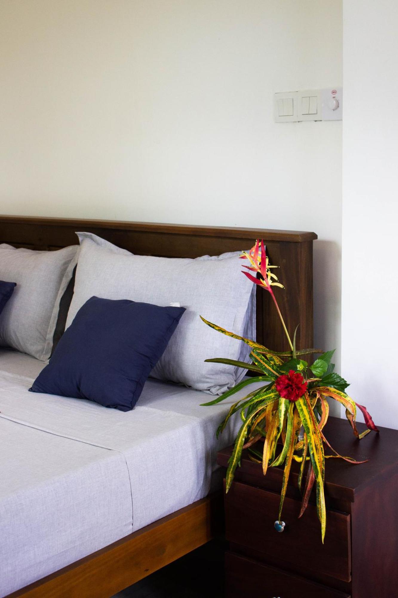 Uralsurf House Ξενοδοχείο Weligama Εξωτερικό φωτογραφία
